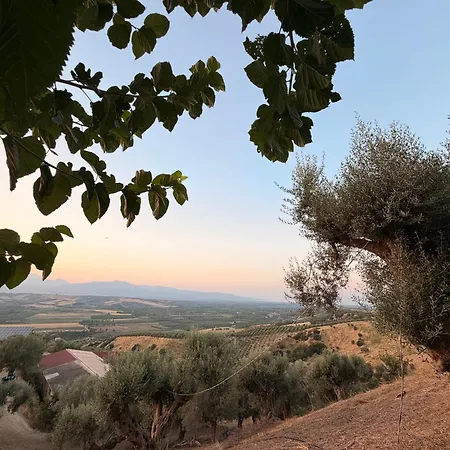 Siviglia San Demetrio Corone